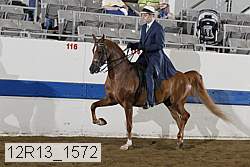 12r13_1572 proof