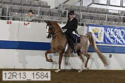 12r13_1584 proof