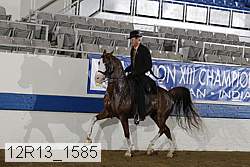 12r13_1585 proof