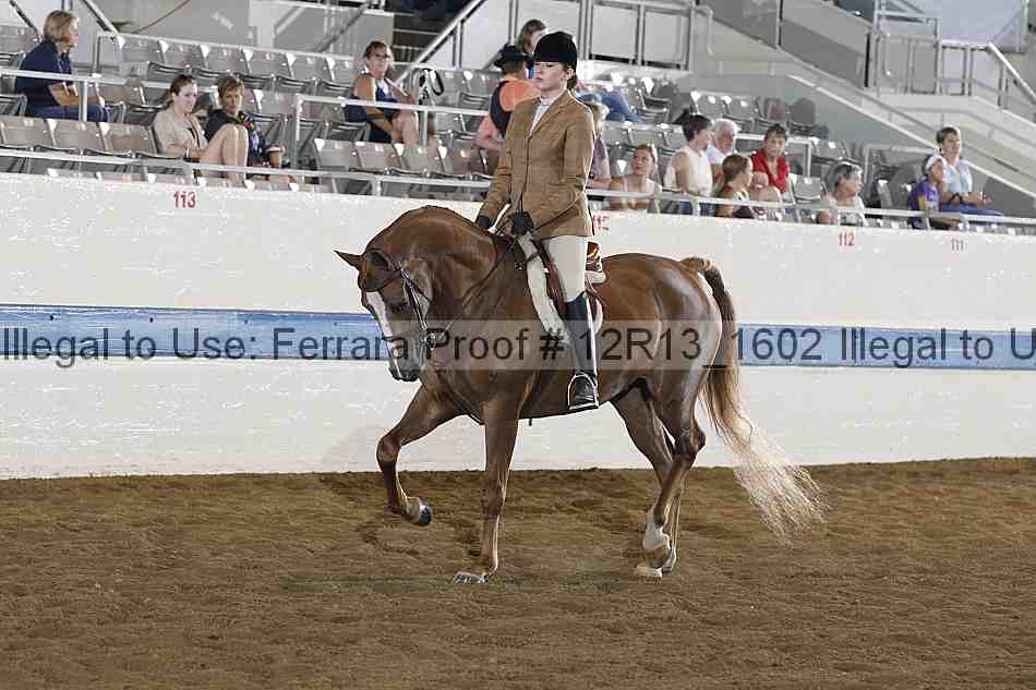 Proof 12r13_1602