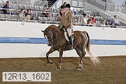 12r13_1602 proof