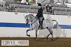 12r13_1603 proof