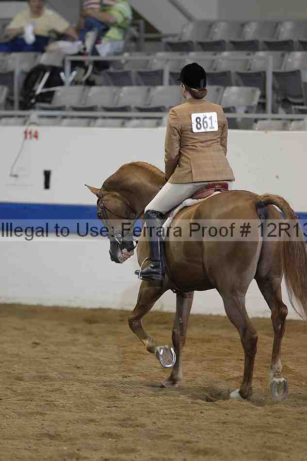 Proof 12r13_1606