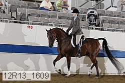 12r13_1609 proof