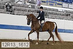 12r13_1612 proof