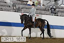 12r13_1613 proof