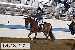 12r13_1629 proof