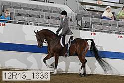 12r13_1636 proof