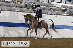 12r13_1639 proof