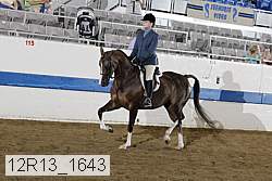 12r13_1643 proof
