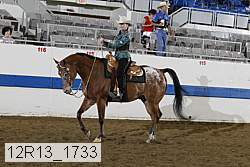 12r13_1733 proof