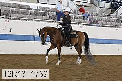 12r13_1739 proof