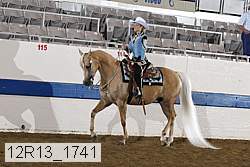 12r13_1741 proof