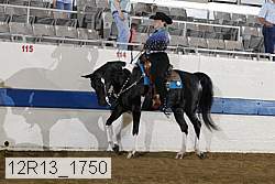 12r13_1750 proof