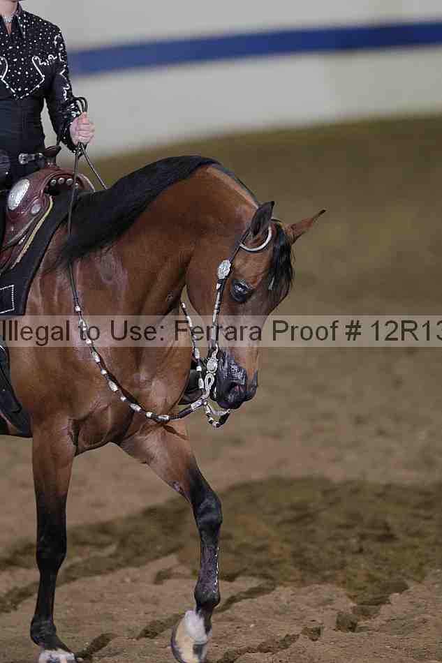 Proof 12r13_1755
