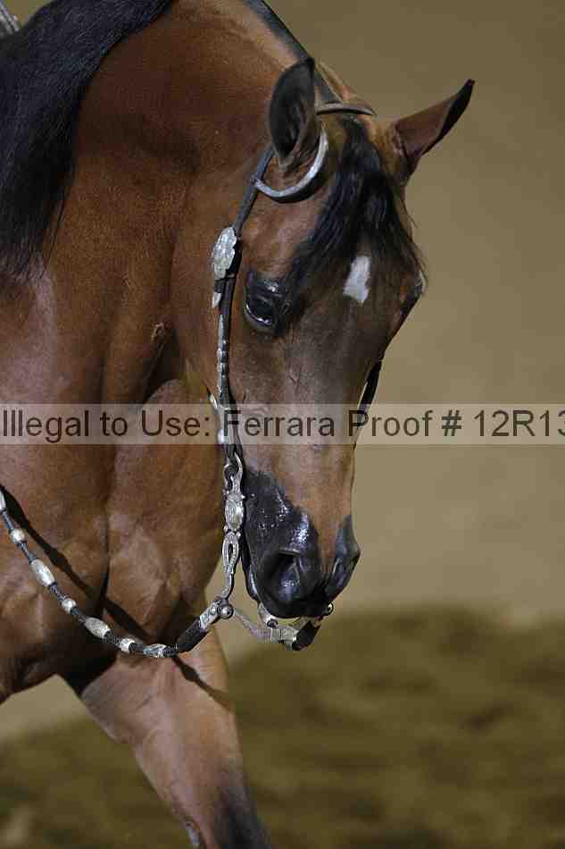 Proof 12r13_1776