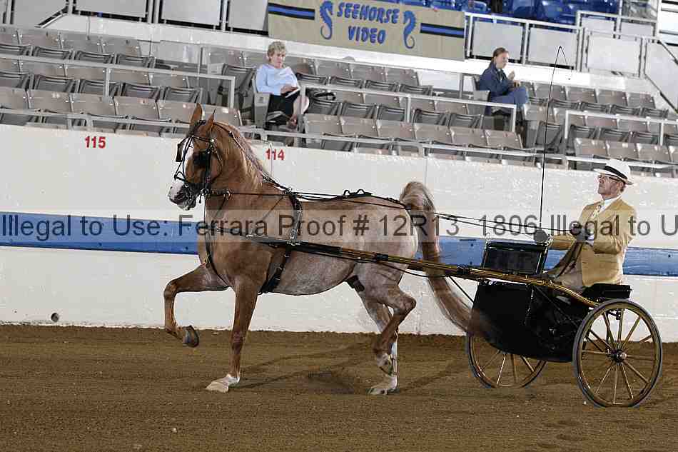 Proof 12r13_1806