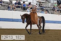12r13_1821 proof