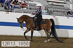 12r13_1856 proof