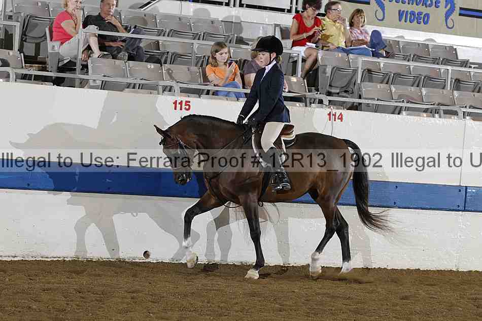 Proof 12r13_1902