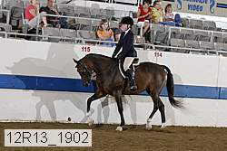 12r13_1902 proof