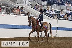 12r13_1923 proof