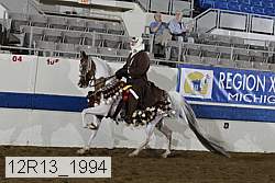 12r13_1994 proof