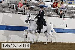 12r13_2014 proof