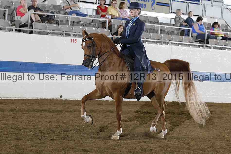 Proof 12r13_2015