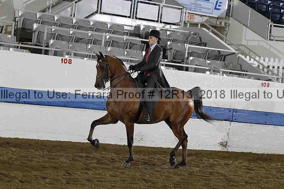 Proof 12r13_2018