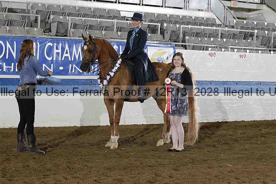 Proof 12r13_2028