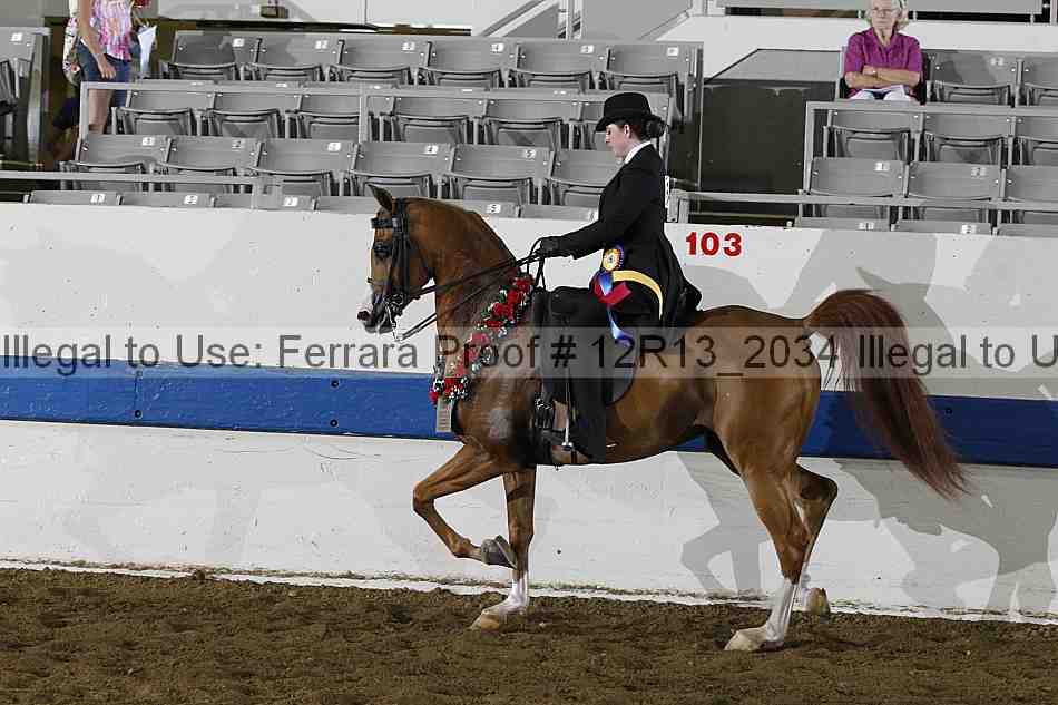 Proof 12r13_2034