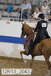 12r13_2043 proof