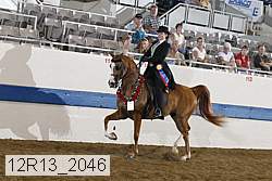 12r13_2046 proof