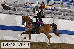 12r13_2049 proof