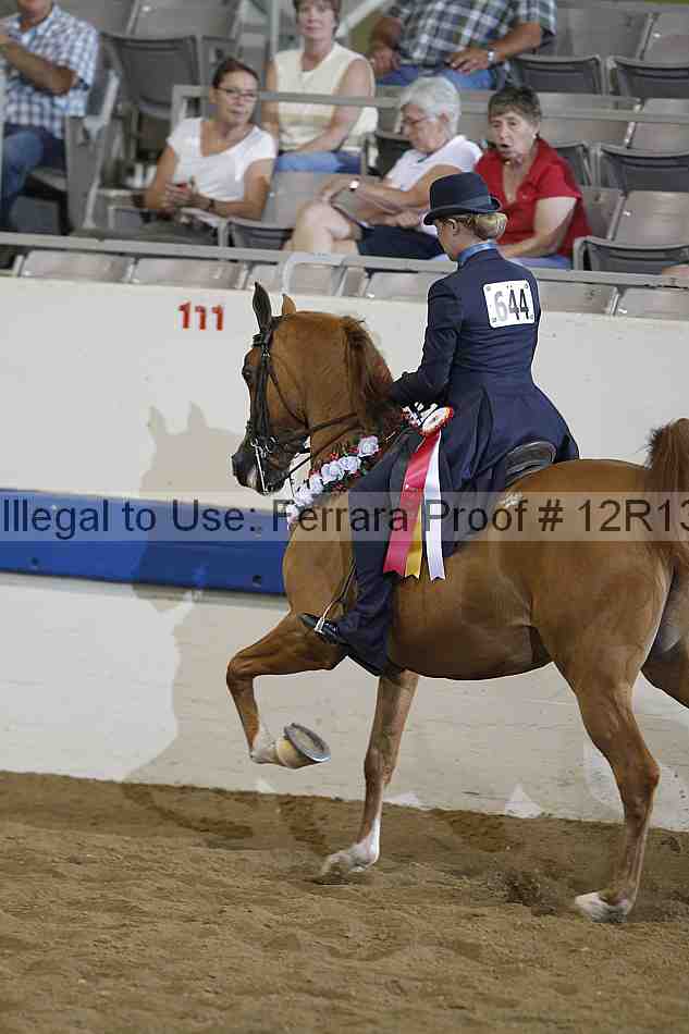 Proof 12r13_2054