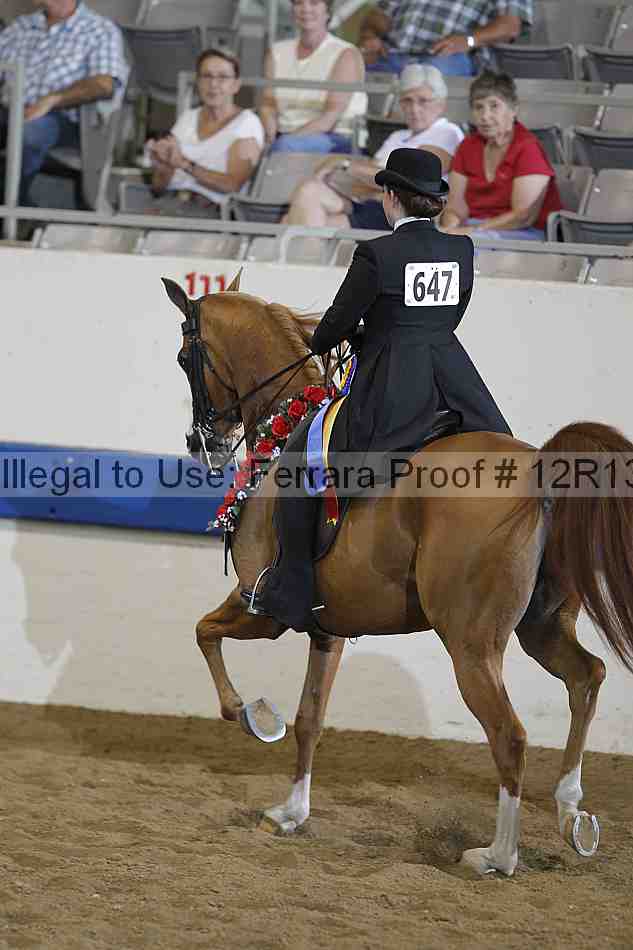 Proof 12r13_2055