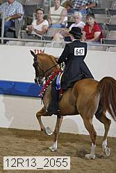 12r13_2055 proof