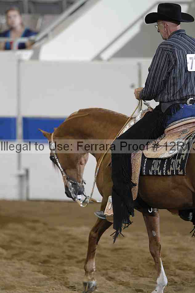 Proof 12r13_2058