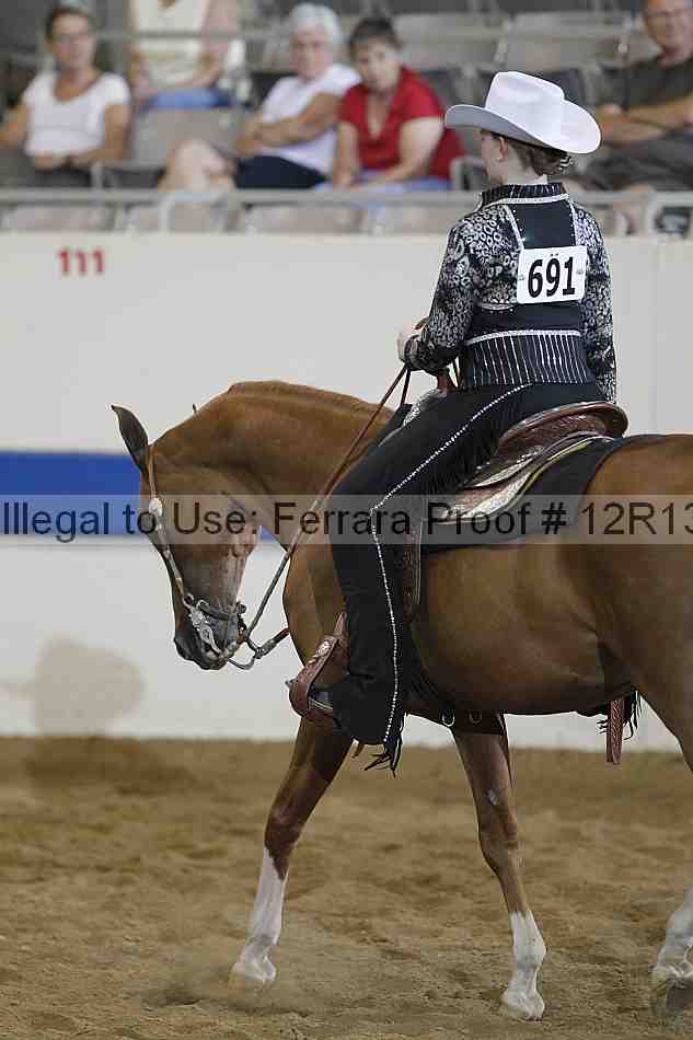 Proof 12r13_2062