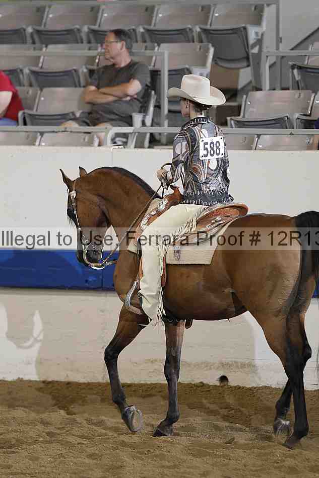 Proof 12r13_2067