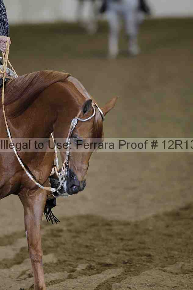 Proof 12r13_2068
