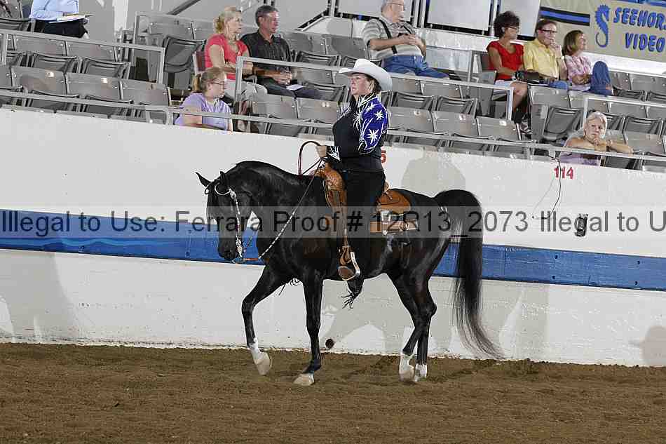 Proof 12r13_2073