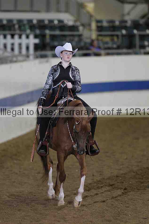 Proof 12r13_2075