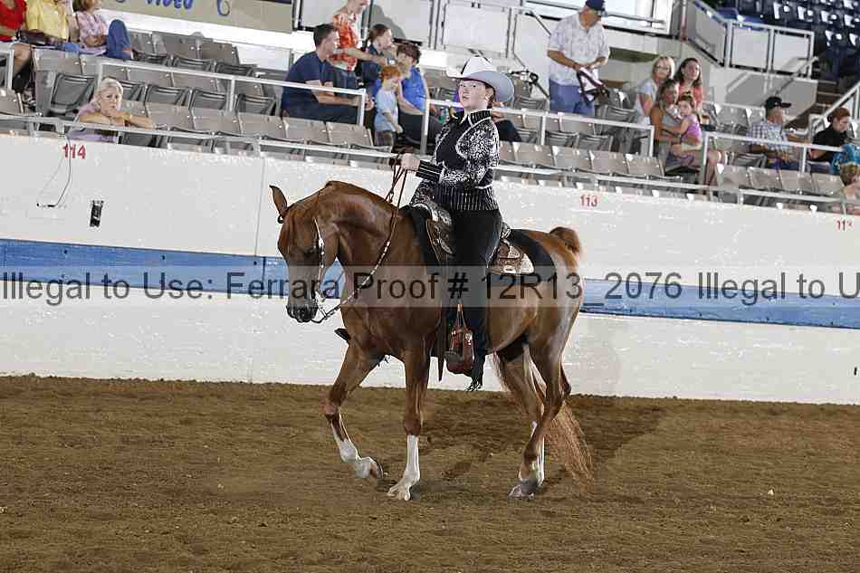 Proof 12r13_2076