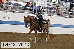 12r13_2076 proof