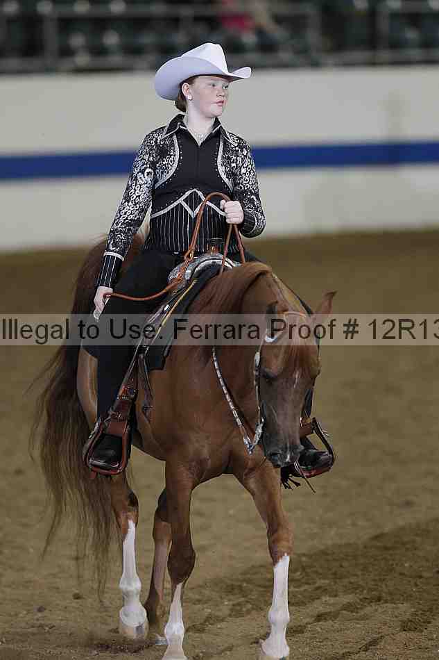 Proof 12r13_2077