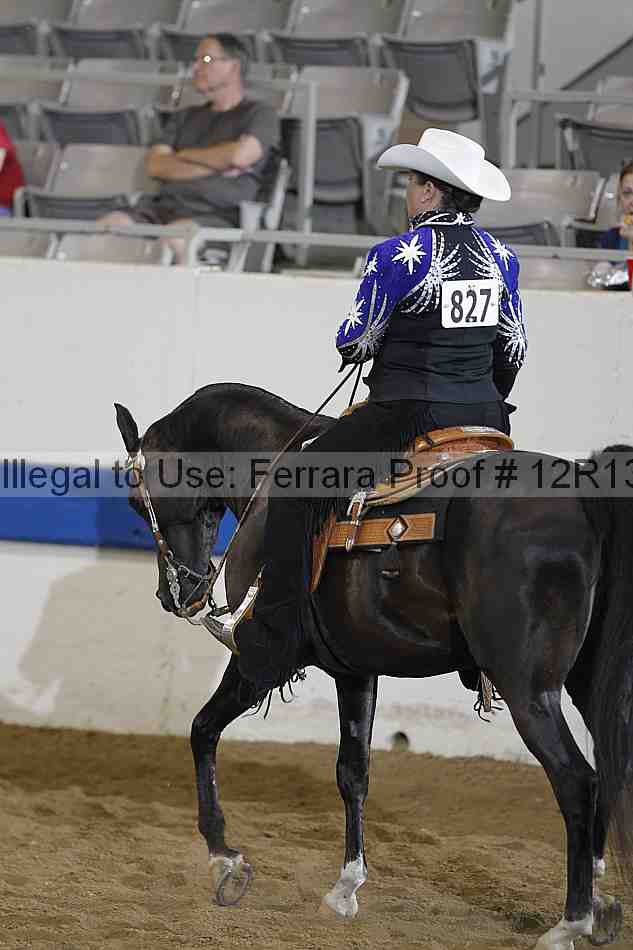 Proof 12r13_2079