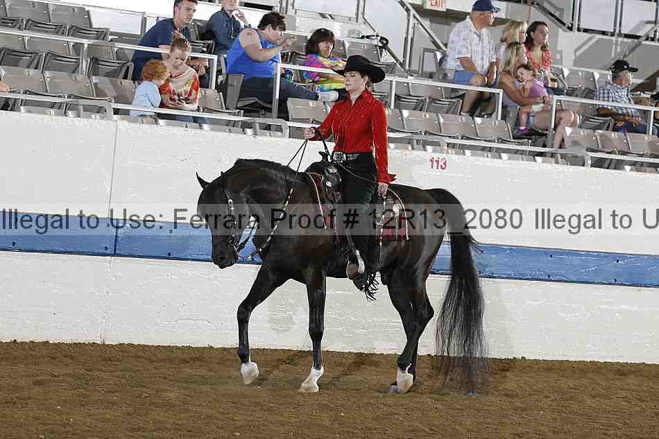 Proof 12r13_2080