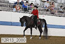12r13_2080 proof